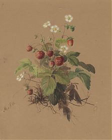 M.v.S.: Erdbeeren. - Aquarell, 1888. - Joseph Steutzger / Buch am Buchrain & Wasserburg am Inn